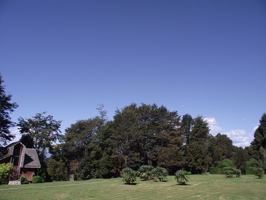 Fotografía 11 de Cabañas No Me Olvides en Puyehue, Los Lagos