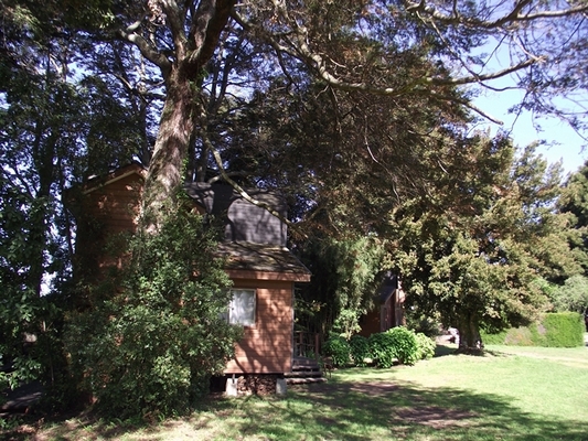 Fotografía 15 de Cabañas No Me Olvides en Puyehue, Los Lagos