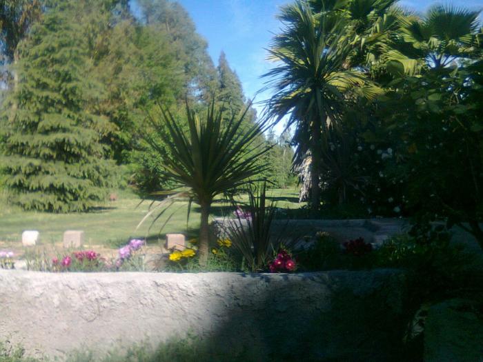 Fotografía 5 de Cabaña Quintruy en Isla De Maipo, Metropolitana