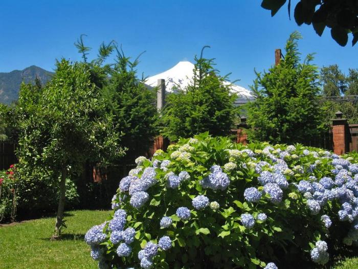 Fotografía 14 de Cabañas El Lucero en Pucon, Araucania
