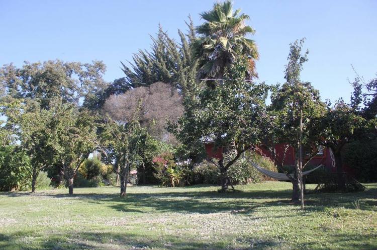 Fotografía 3 de Alojamiento Rural Casaquinta Peumayen en Isla De Maipo, Metropolitana