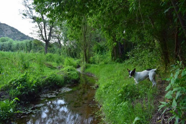 Fotografía 12 de Alojamiento Rural Casaquinta Peumayen en Isla De Maipo, Metropolitana