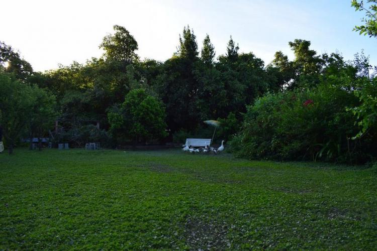 Fotografía 16 de Alojamiento Rural Casaquinta Peumayen en Isla De Maipo, Metropolitana