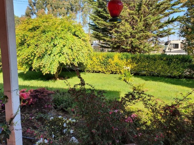 Jardín con césped, arbustos y árboles alrededor de las cabañas