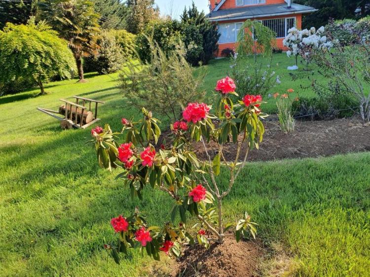Fotografía 14 de Cabañas Llancahue en Valdivia, Los Rios