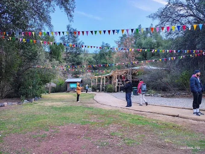 Área verde arbolada con sendero y banderines de colores