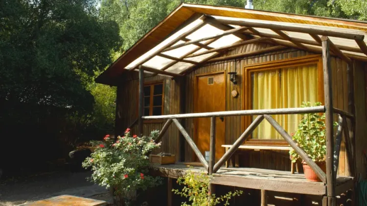 Cabaña de madera con porche y plantas en el exterior