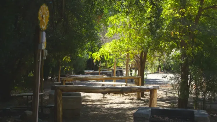 Mesas y bancas de madera en un sector arbolado