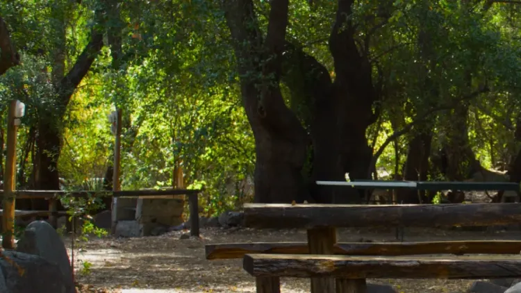 Fotografía 9 de Cabañas Parque Almendro en Cajon del Maipo, Metropolitana