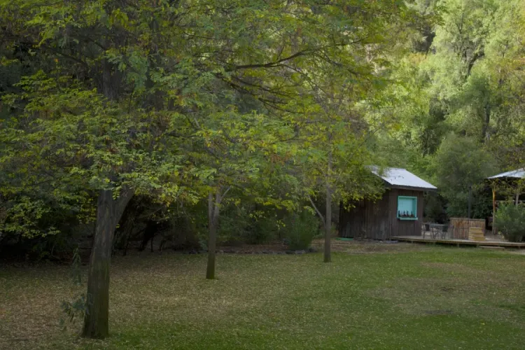 Jardín con árboles y pequeña construcción de madera