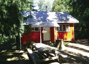 Camping los nogales en Talca, Maule