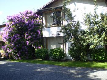 Cabañas Mapulay en Pucon, Araucania