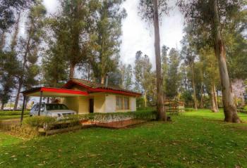 Cabañas El Bosque en Linares, Maule